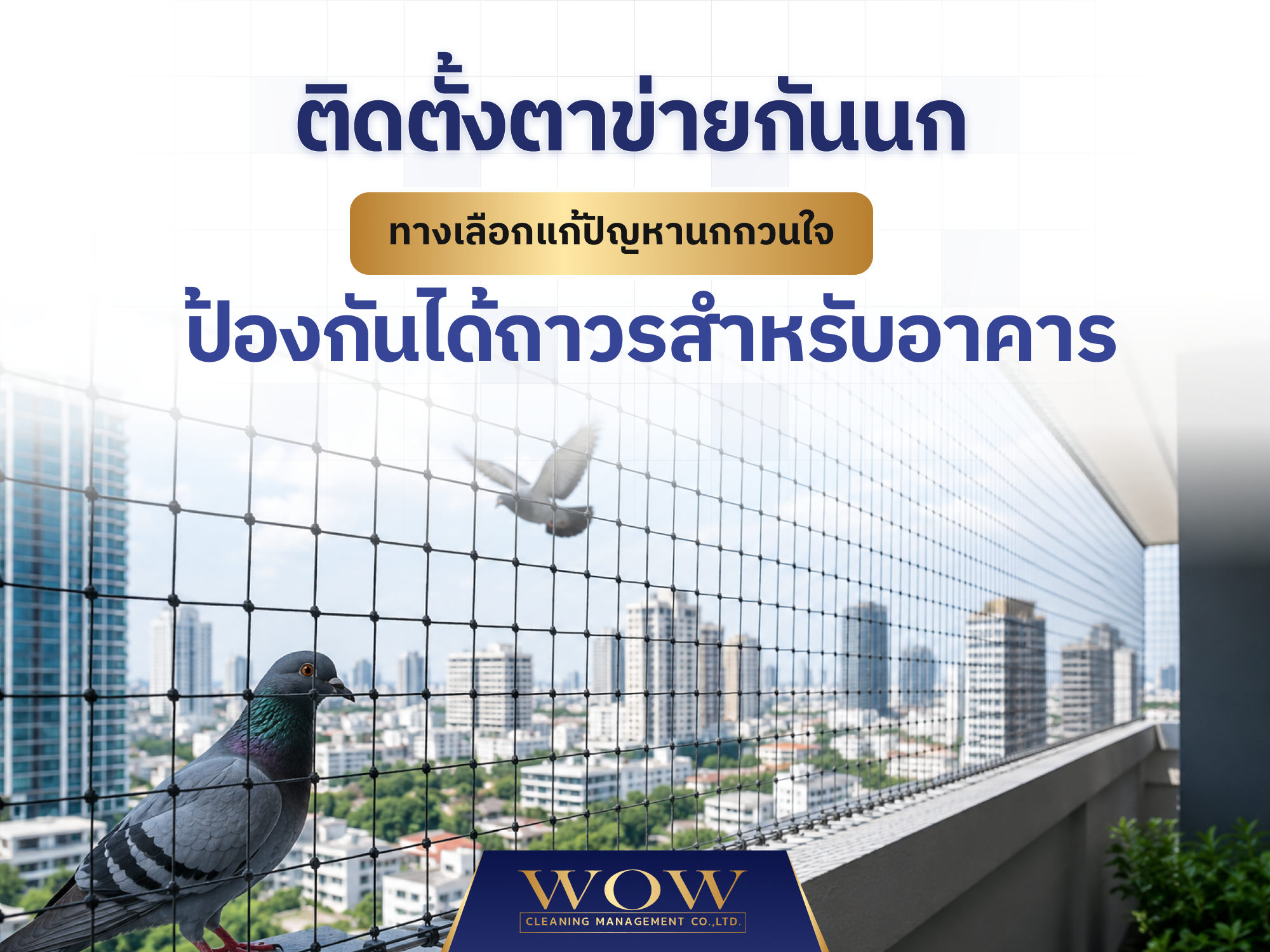 ติดตั้งตาข่ายกันนก ทางเลือกแก้ปัญหานกกวนใจ ป้องกันได้ถาวรสำหรับอาคาร