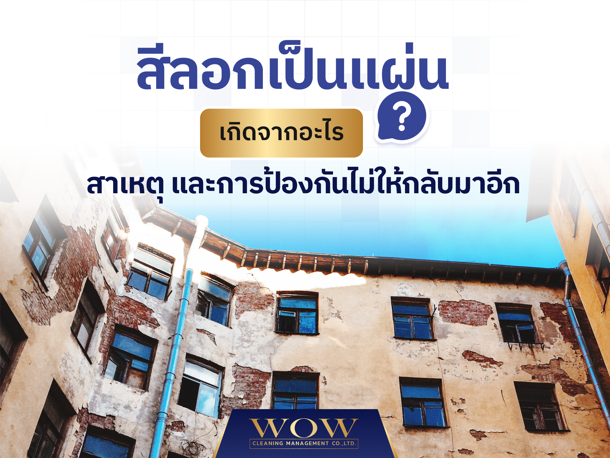 สีลอกเป็นแผ่น เกิดจากอะไร? สาเหตุ และการป้องกันไม่ให้กลับมาอีก