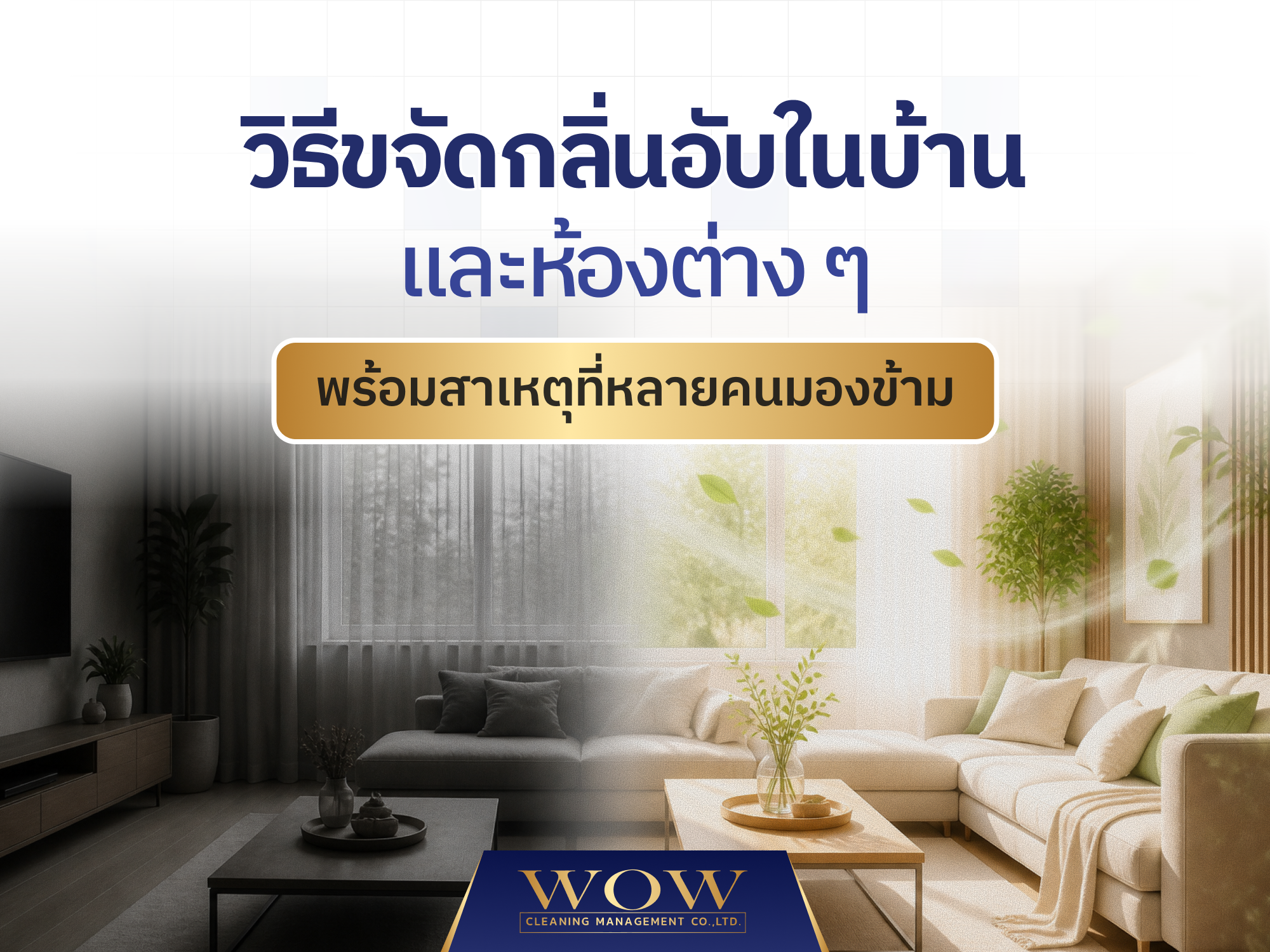 วิธีขจัดกลิ่นอับในห้องต่าง ๆ พร้อมสาเหตุที่หลายคนมองข้าม